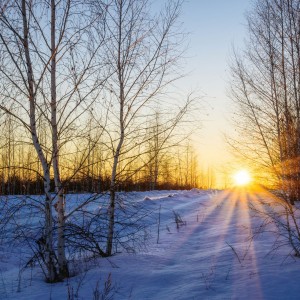 Ох, зайду-ка я за бугорок